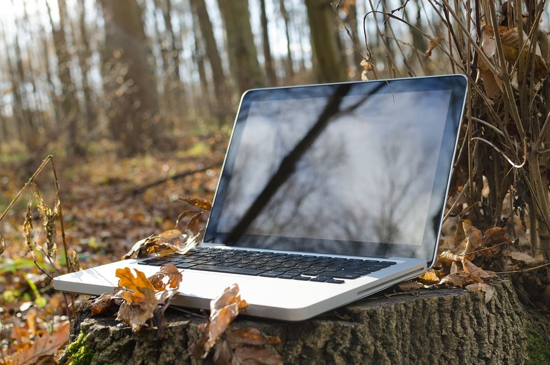 ordinateur dans une forêt